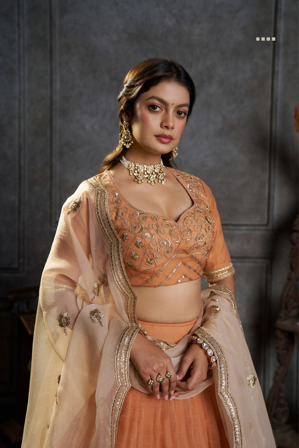Rust Orange Pure Organza Embroidered Designer Lehenga Choli