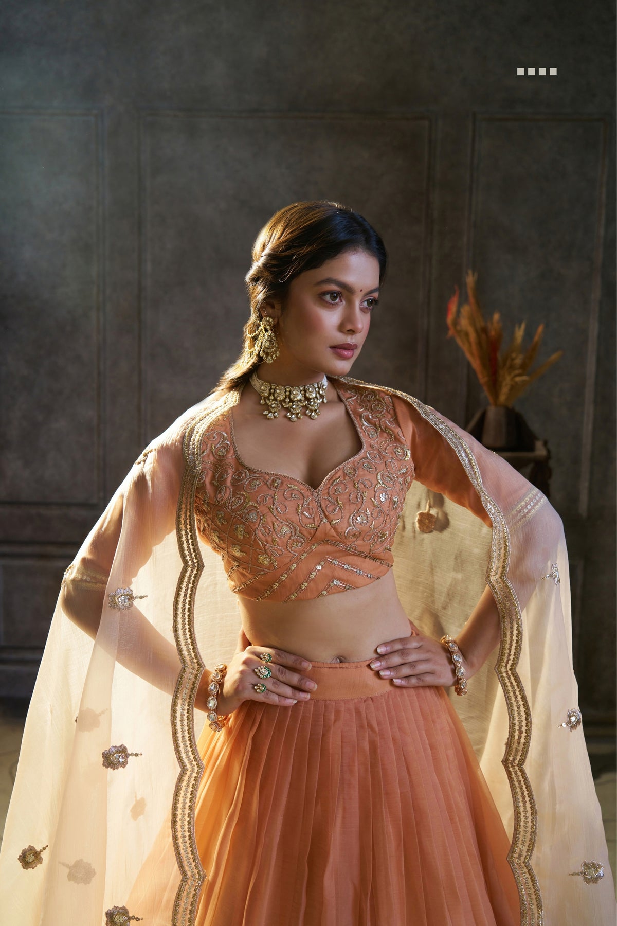 Rust Orange Pure Organza Embroidered Designer Lehenga Choli